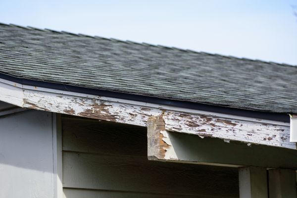 Durango Wood Rot Repair