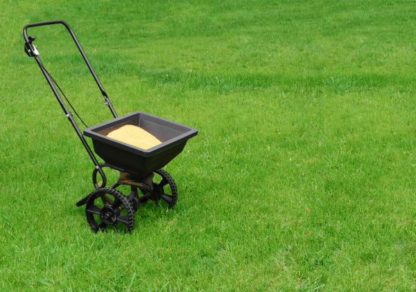 Durango Lawn Treatment
