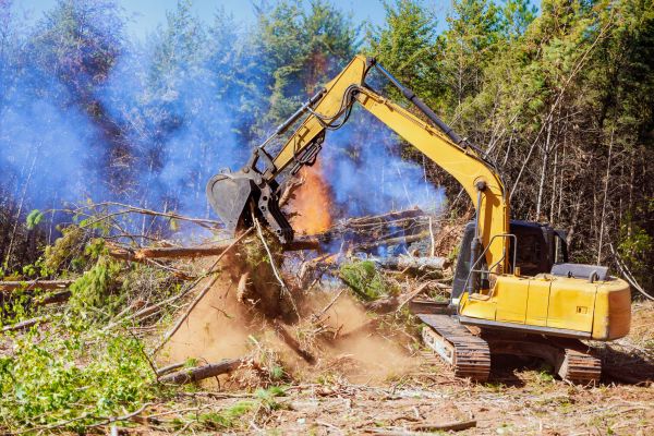 Durango Land Clearing